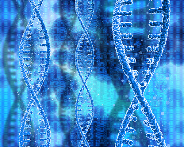 Foto de um DNA humano