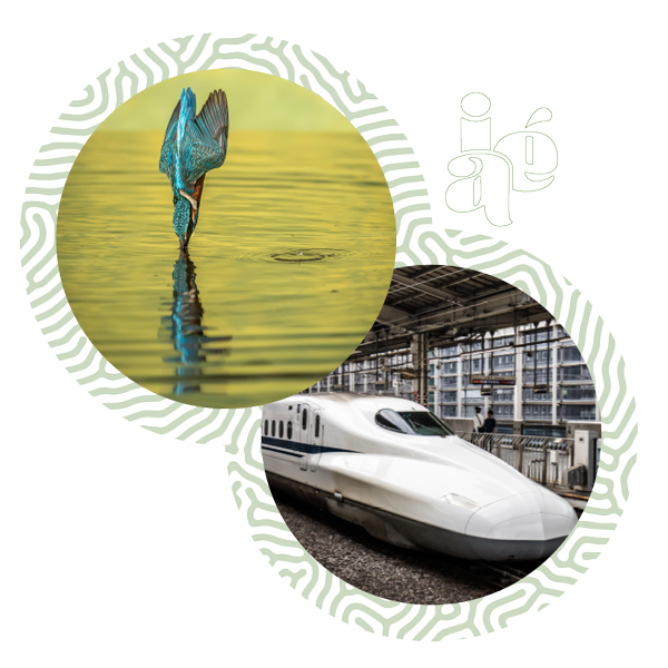 Imagem Martin Pesacador e trem bala